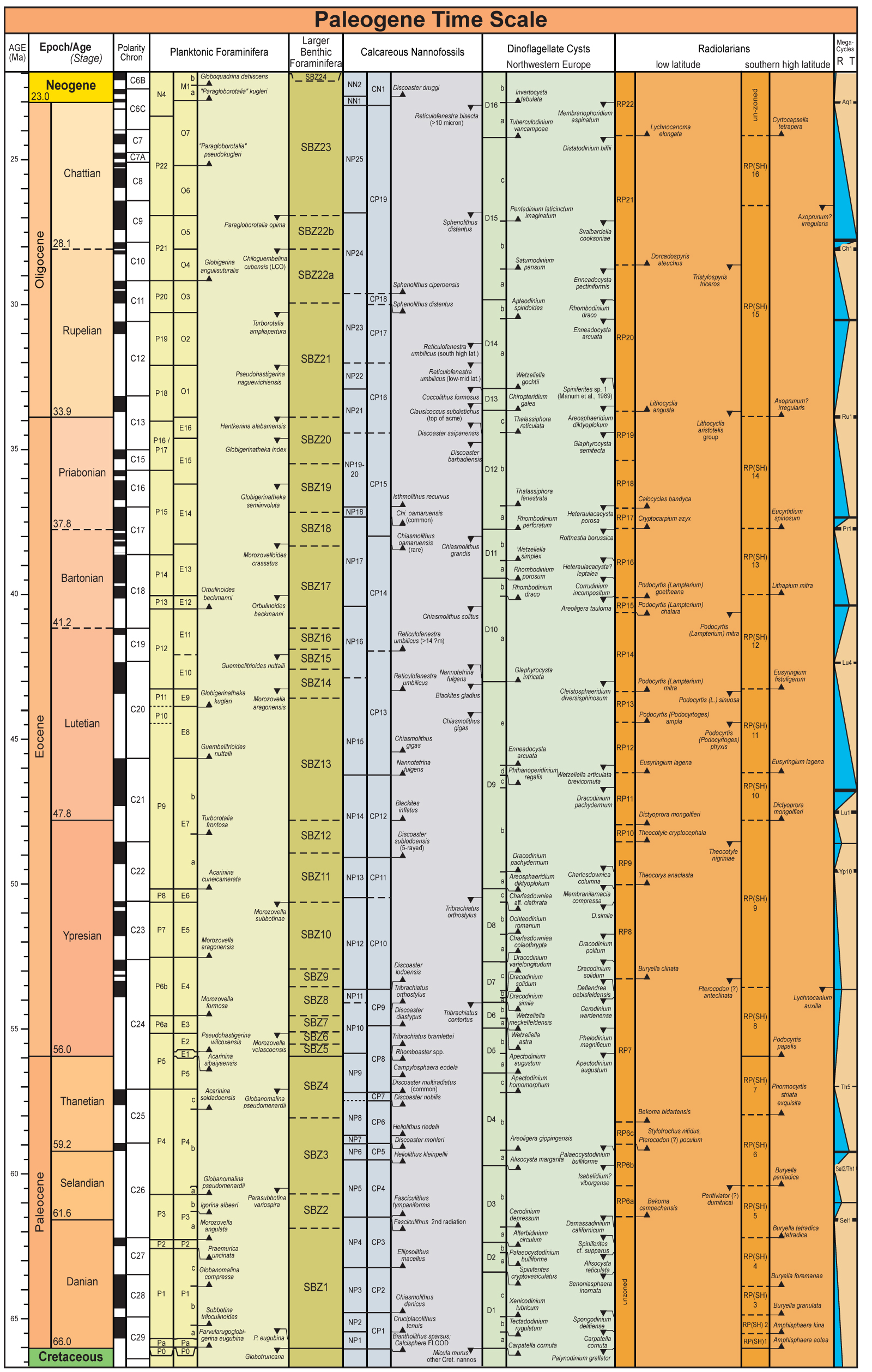 Paleogene Timescale