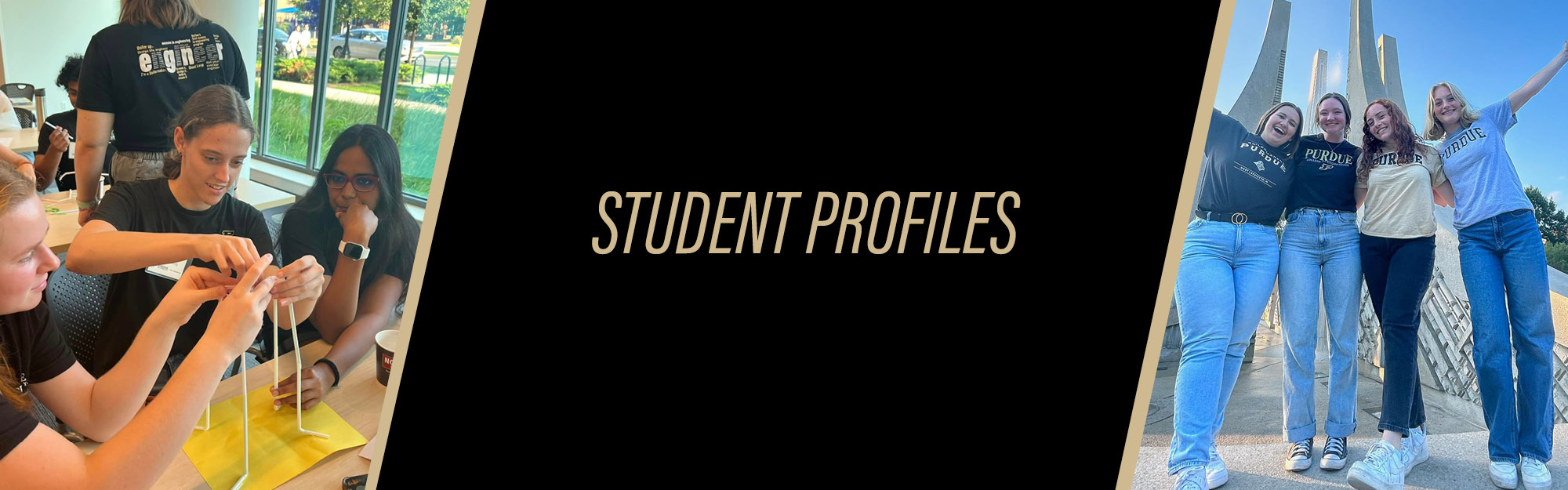 Student Profiles