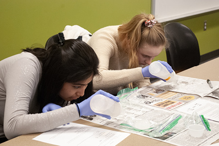 2 women working on an assignment together