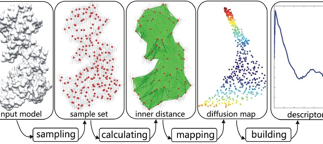 Using Diffusion Distances for Flexible Molecular Shape Comparison