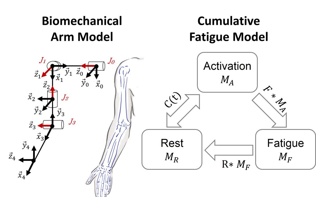 Modeling Cumulative Arm Fatigue in Mid-Air Interaction based on Perceived Exertion and Kinetics of Arm Motion
