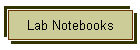 Lab Notebooks