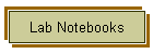 Lab Notebooks