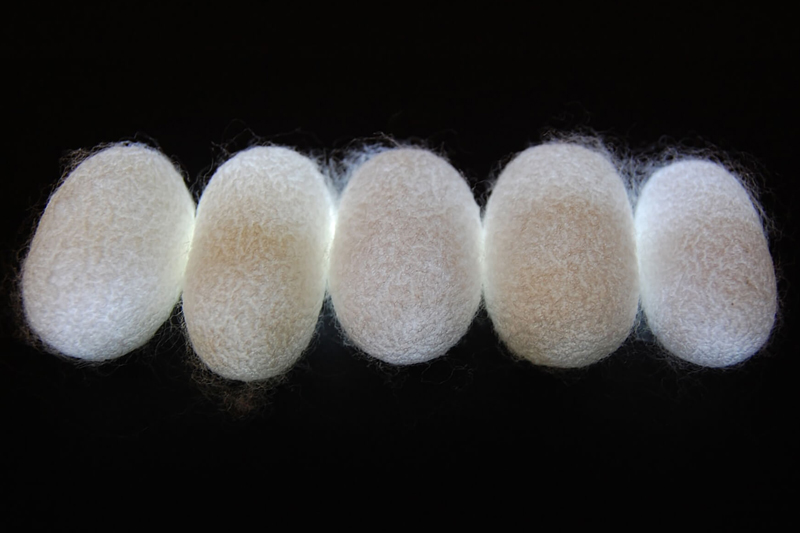 New research suggests fibers from a silkworm’s cocoon may represent “natural metamaterials,” a discovery with various technological and scientific implications.