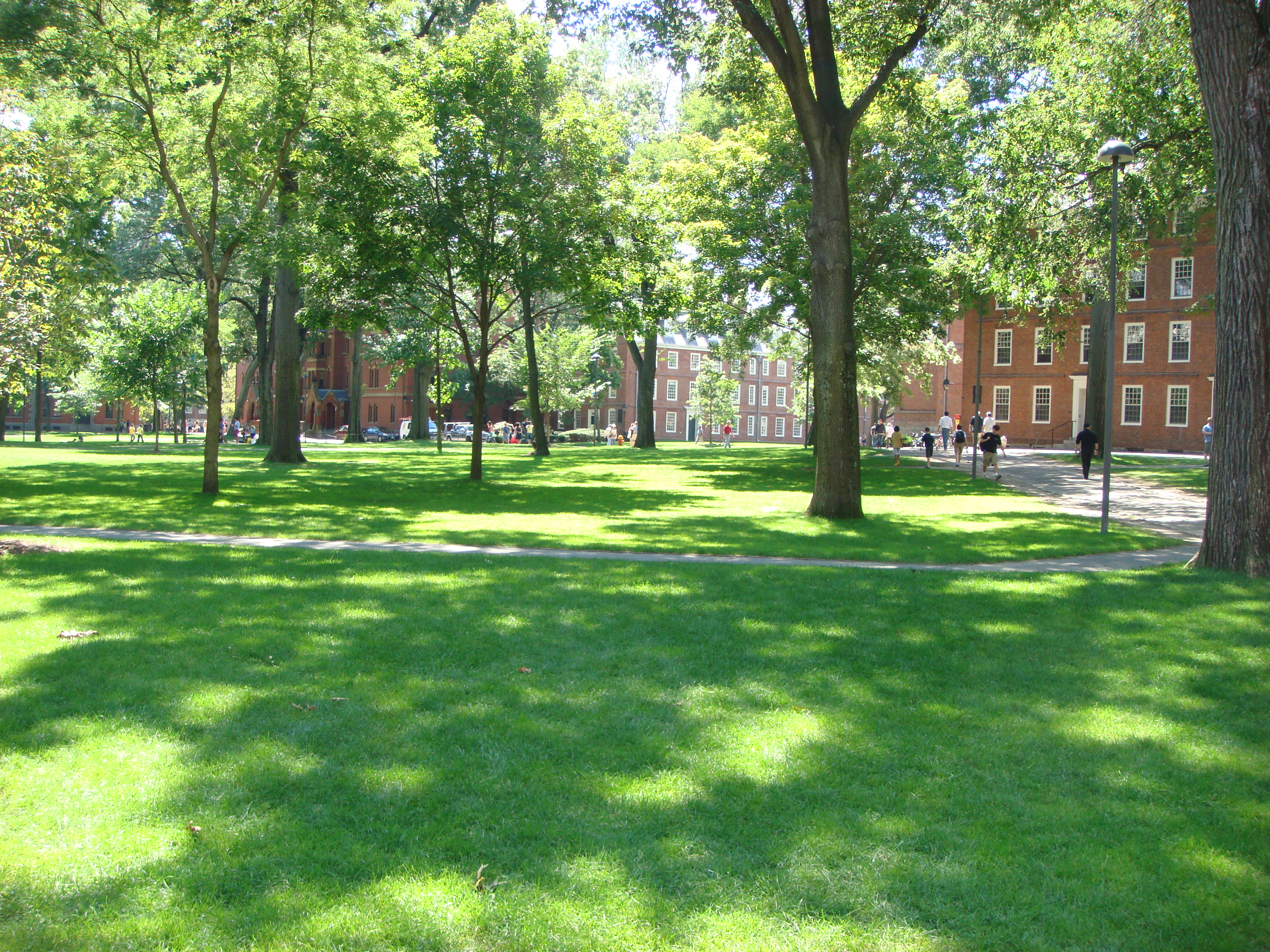 harvard yard