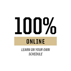100% Online courses
