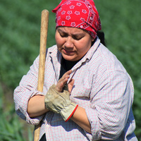 Farmer suffering from arthritis rubbing her hands while taking a break from working