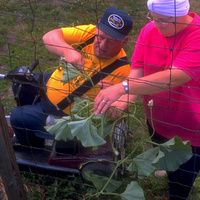 Paraplegic farmer and his wife work together to tend to their pumpkin crop