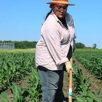Farmer with arthritis stands in a field using a hoe