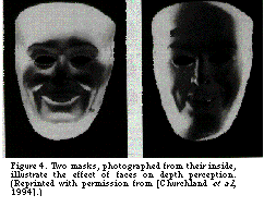 Figure 4. Two masks, photographed from their inside, illustrate the effect of faces on depth perception. (Reprinted with permission from [Churchland et al., 1994].)