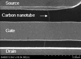 A carbon nanotube transistor