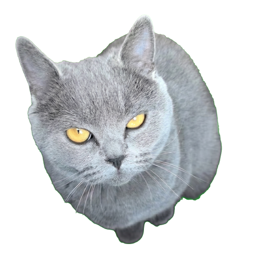Huihui icon