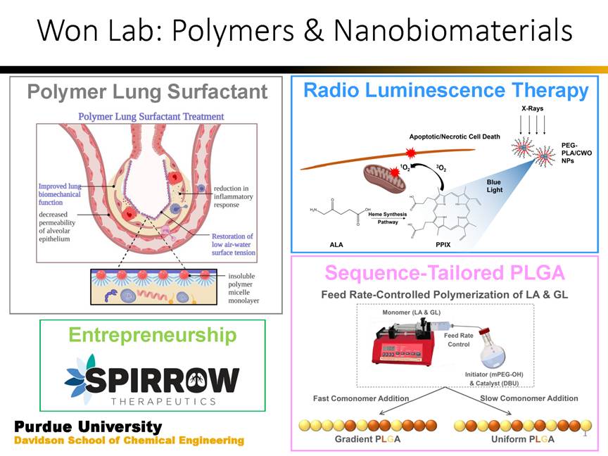 A diagram of different types of cells

AI-generated content may be incorrect.